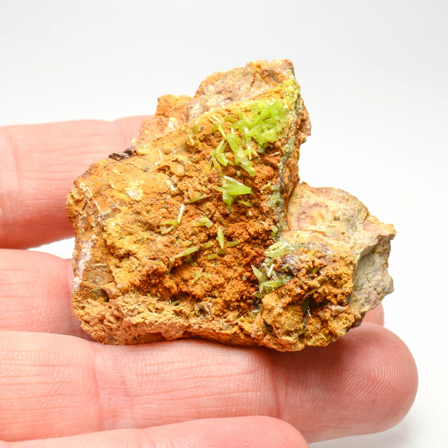 Pyrormorphite - Saint-Salvy-de-la-Balme, Tarn, France