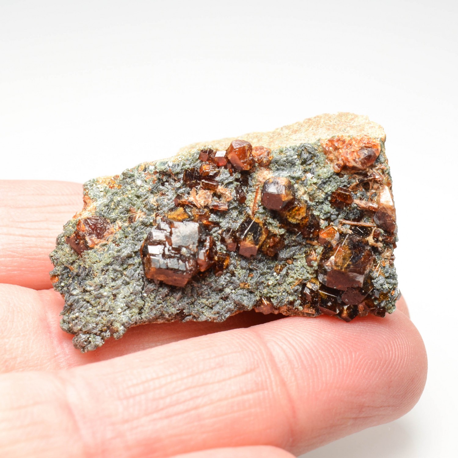 Garnet and clinochlore - Bellecombe, Châtillon, Aosta Valley, Italy