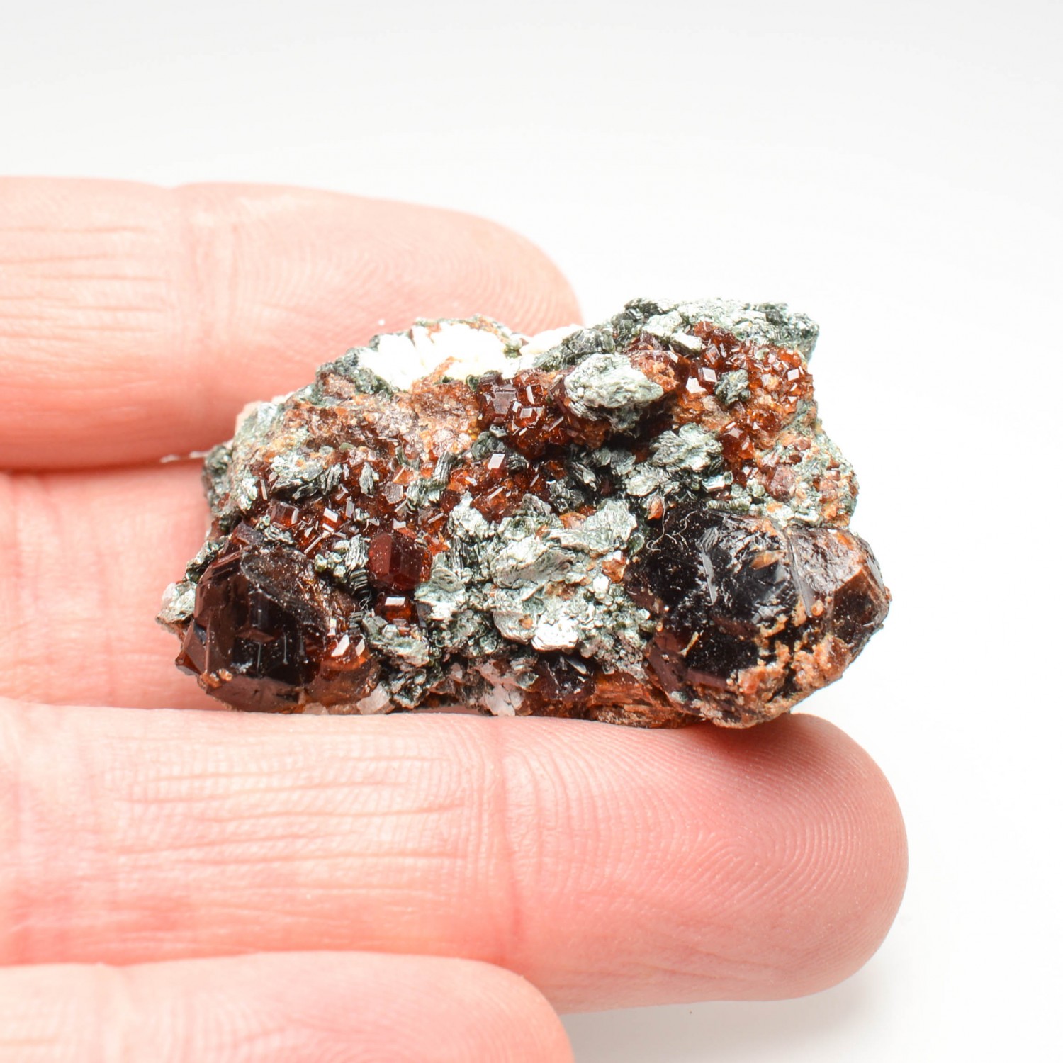 Garnet and clinochlore - Bellecombe, Châtillon, Aosta Valley, Italy