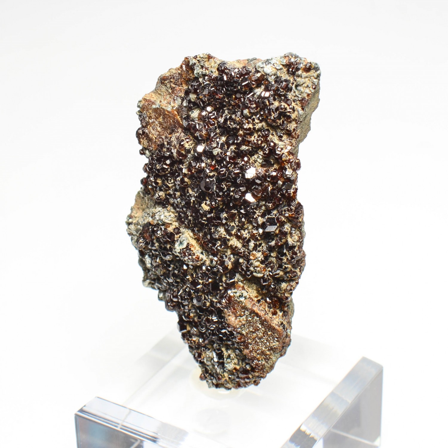 Garnet and clinochlore - Italian rodingites, Piedmont/Aosta Valley, Italy