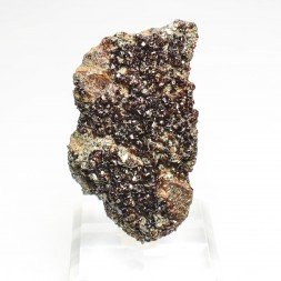 Garnet and clinochlore - Italian rodingites, Piedmont/Aosta Valley, Italy
