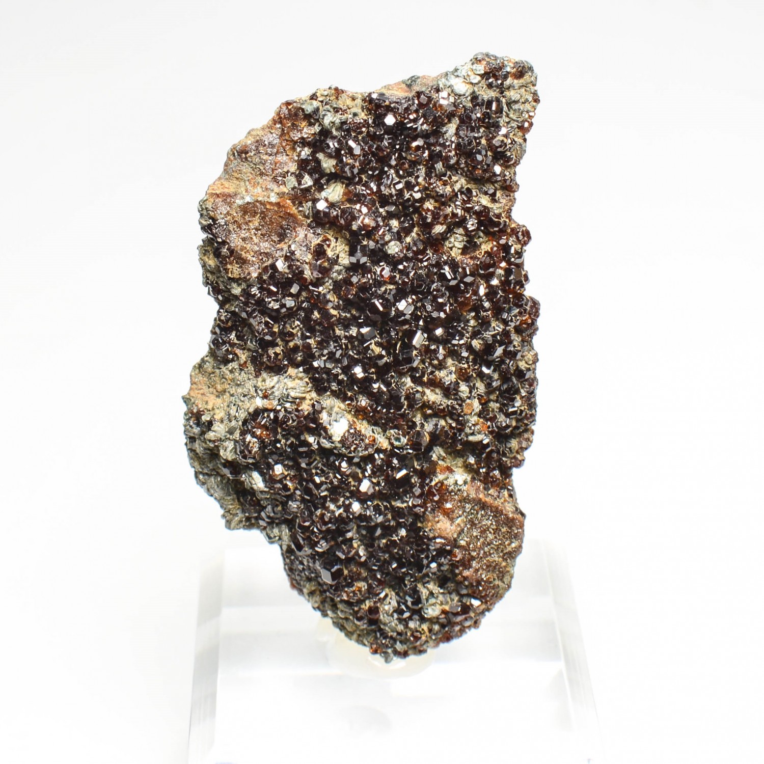 Garnet and clinochlore - Italian rodingites, Piedmont/Aosta Valley, Italy