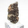 Garnet and clinochlore - Italian rodingites, Piedmont/Aosta Valley, Italy