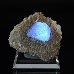 Scheelite sur muscovite - Monts Xuebaoding, Pingwu, Province du Sichuan, Chine