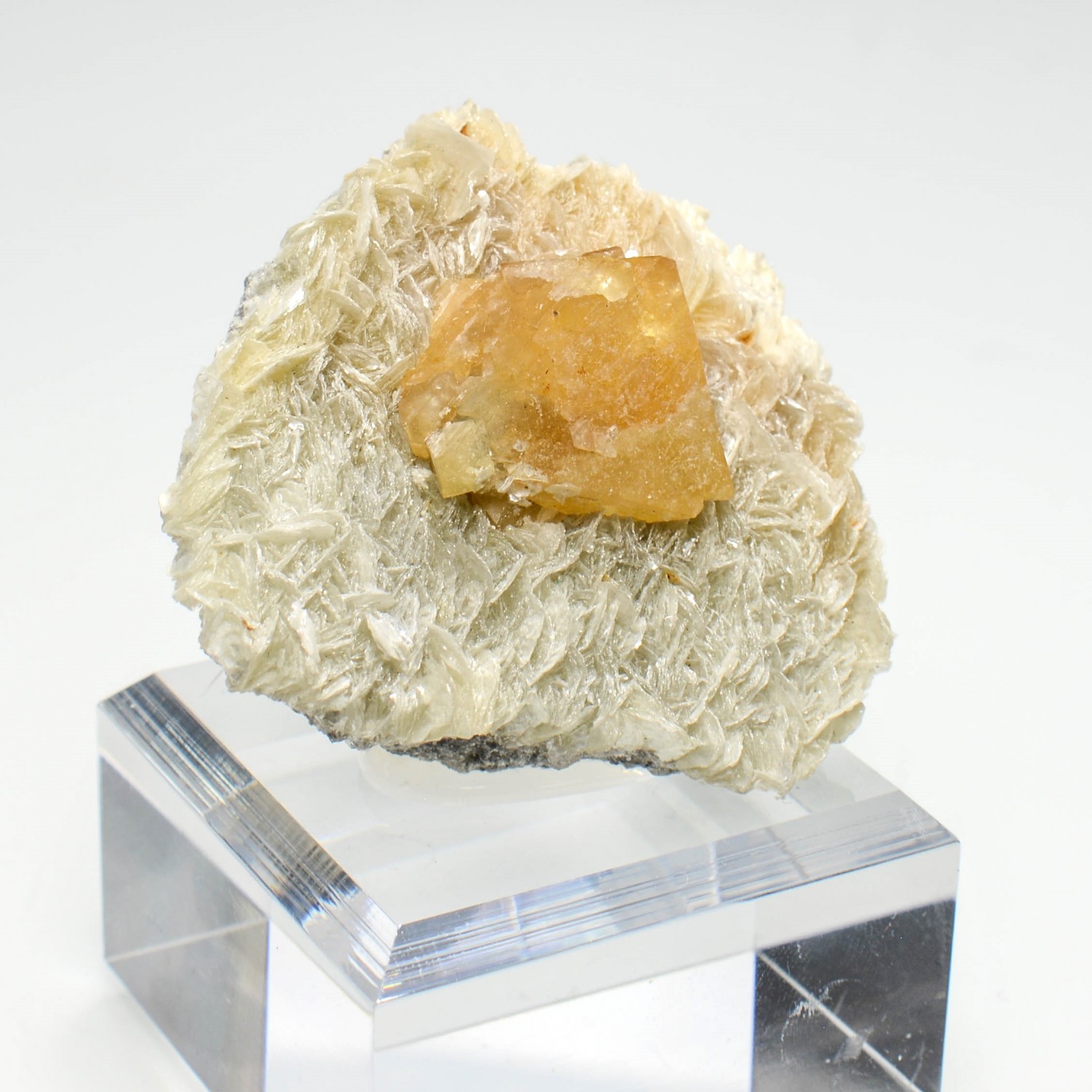 Scheelite on muscovite - Xuebaoding Mountains, Pingwu, Sichuan Province, China