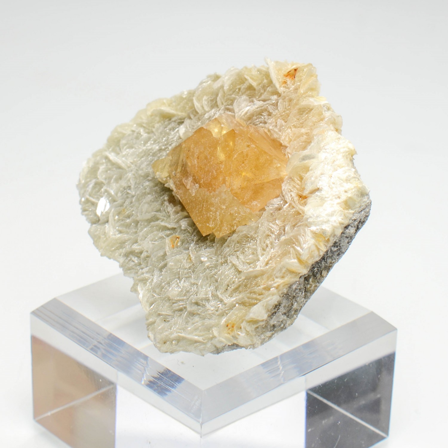 Scheelite on muscovite - Xuebaoding Mountains, Pingwu, Sichuan Province, China