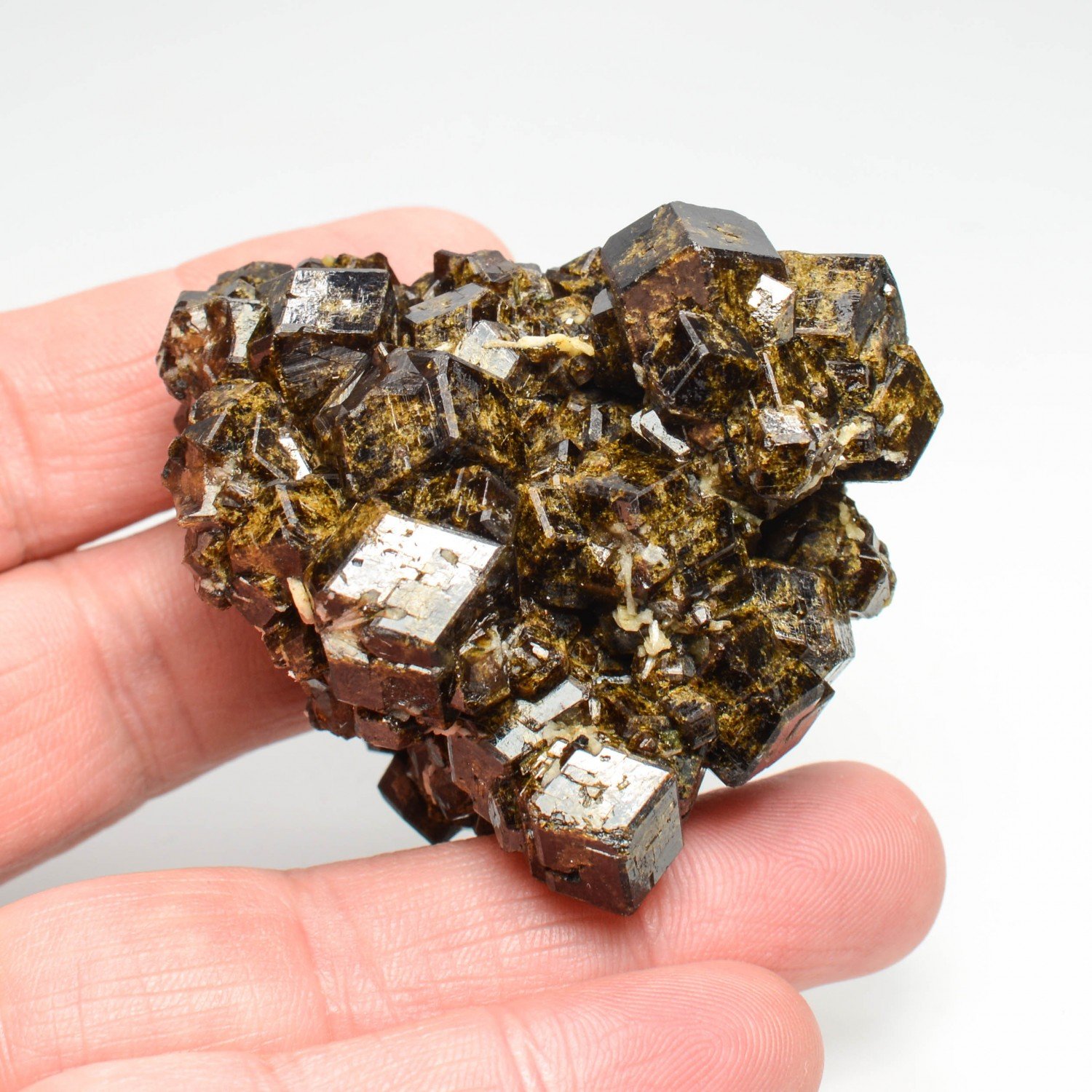 Grenat (var. andradite) - Région de Kayes, Mali Grenat (var. andradite) - Région de Kayes, Mali