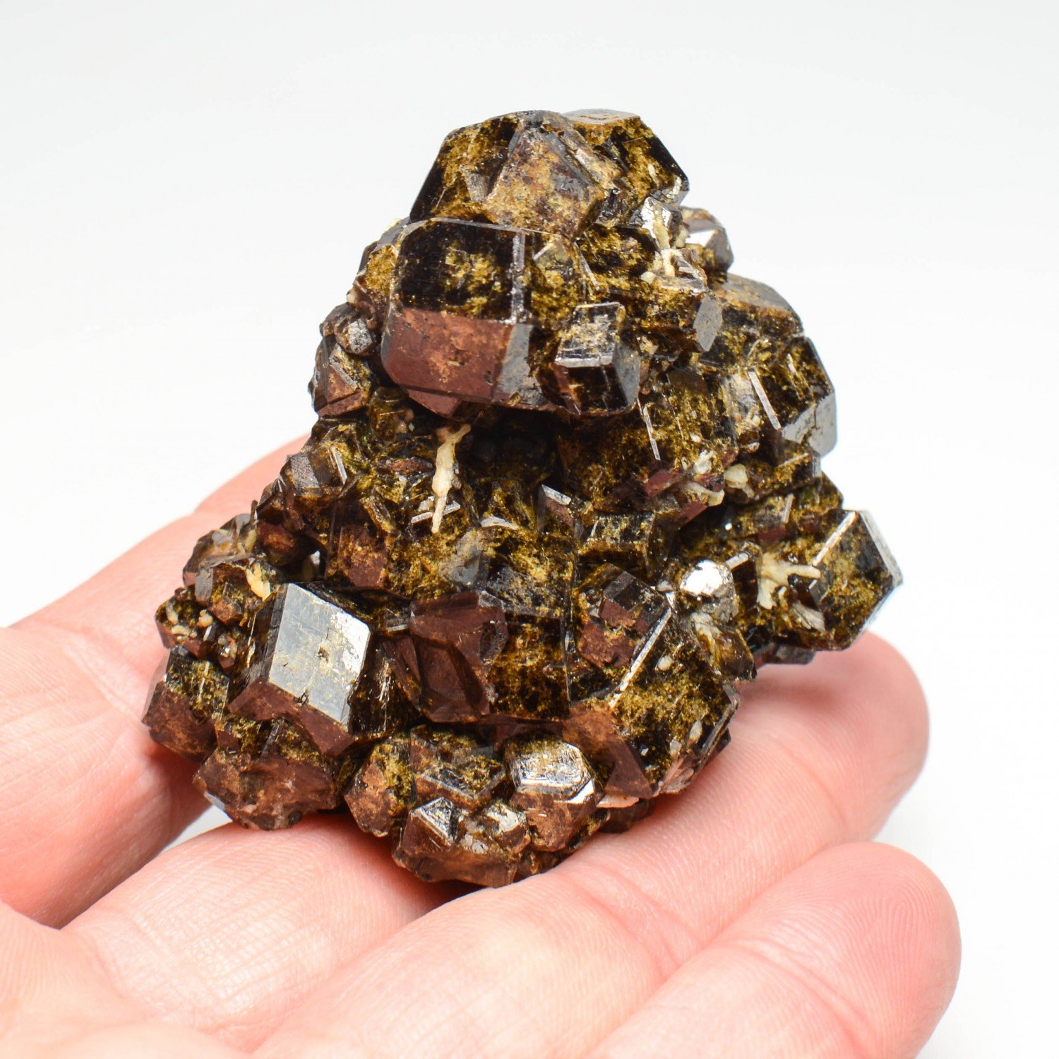 Grenat (var. andradite) - Région de Kayes, Mali Grenat (var. andradite) - Région de Kayes, Mali