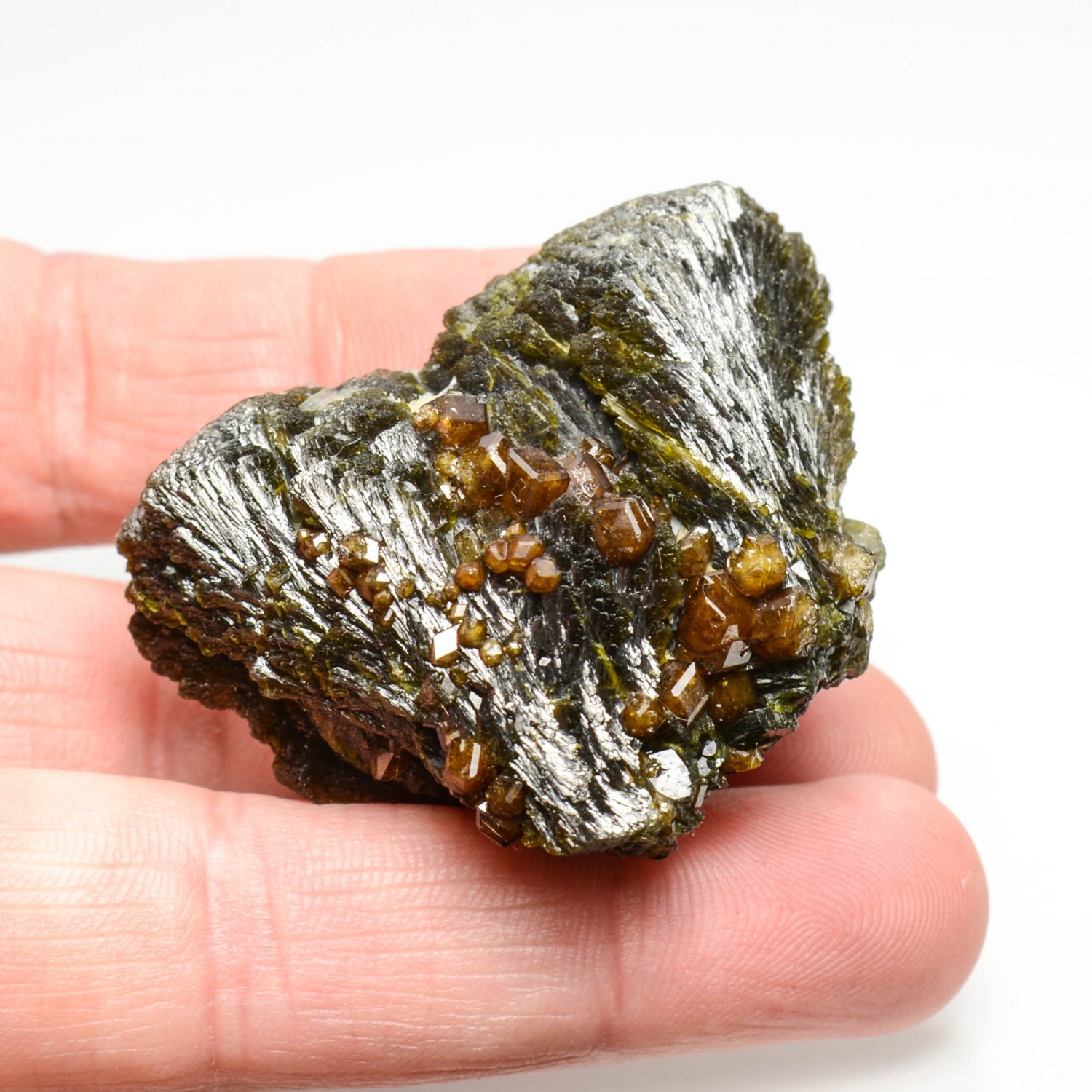 Grenat (var. andradite)sur épidote - Région de Kayes, Mali