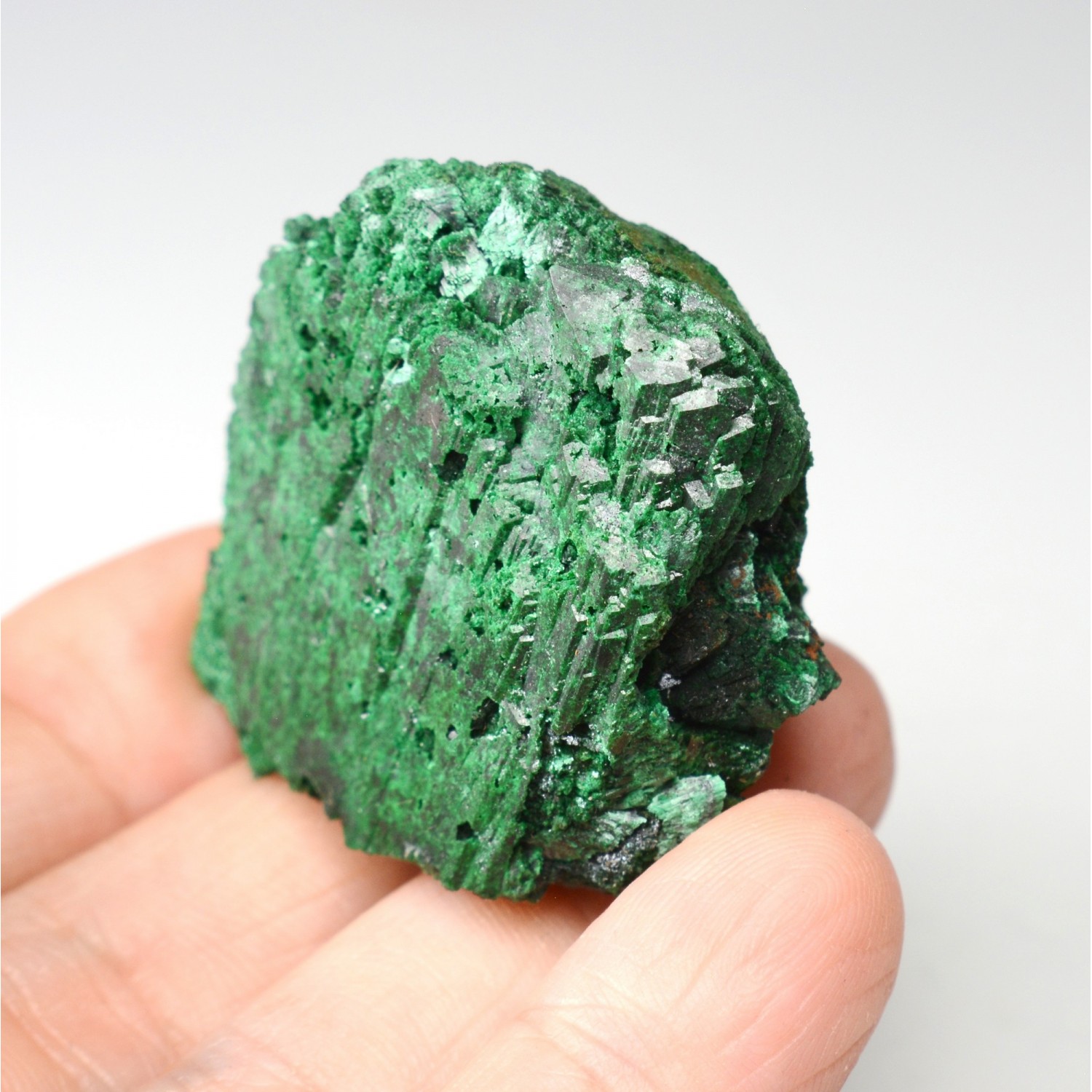 Azurite pseudomorphosée en malachite - Touissit, Maroc