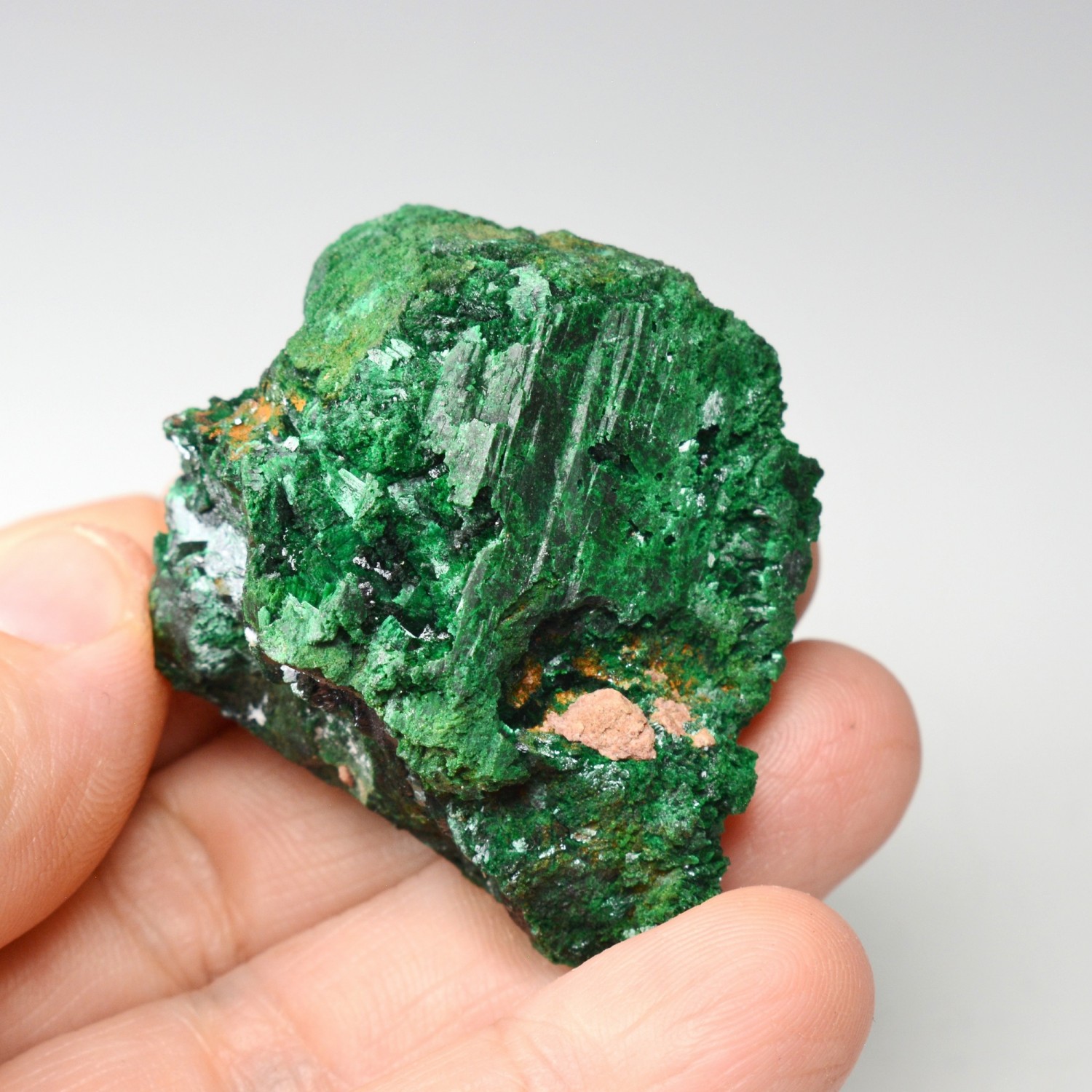 Azurite pseudomorphosée en malachite - Touissit, Maroc