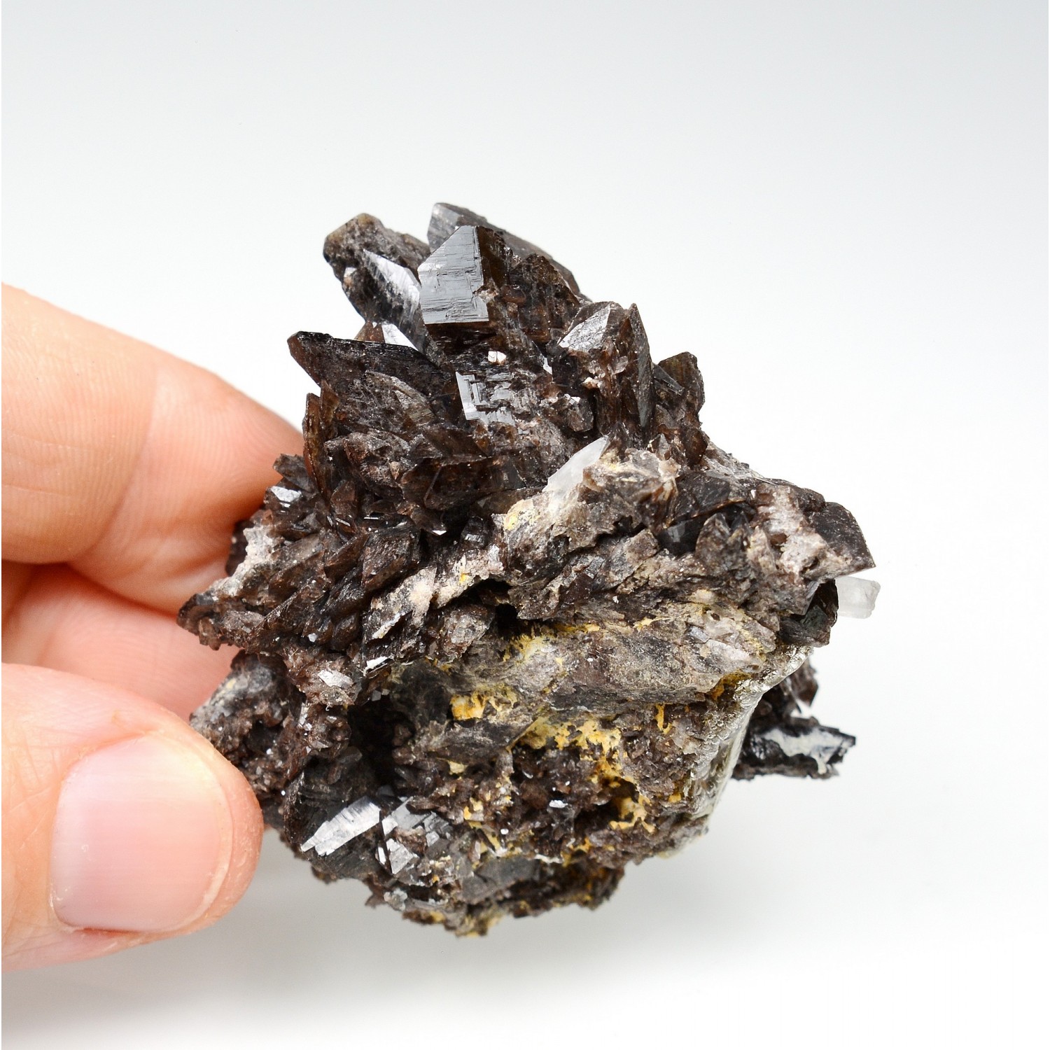 Axinite - Mine Obira, Ono-gun, Kyushu, Japon