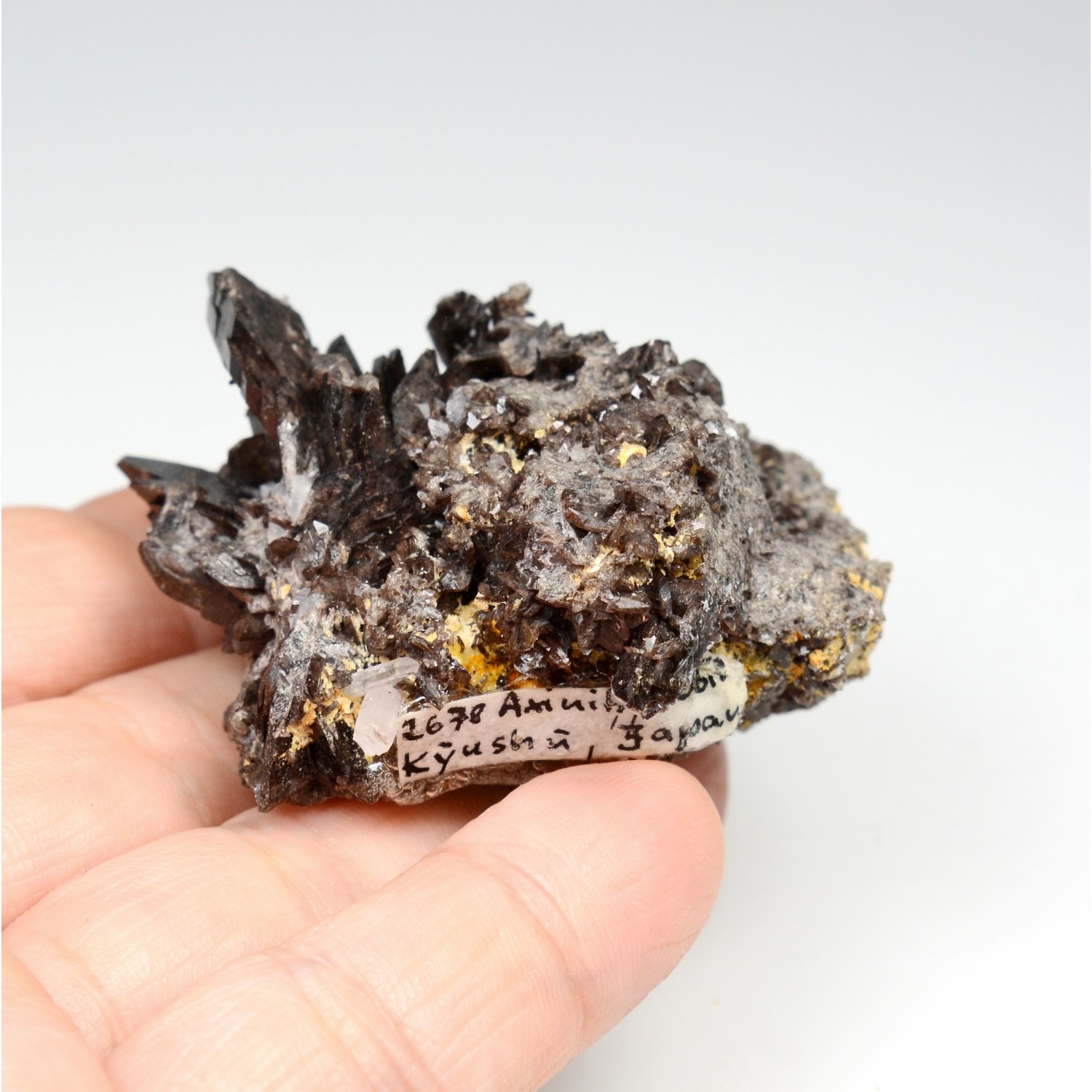 Axinite - Mine Obira, Ono-gun, Kyushu, Japon