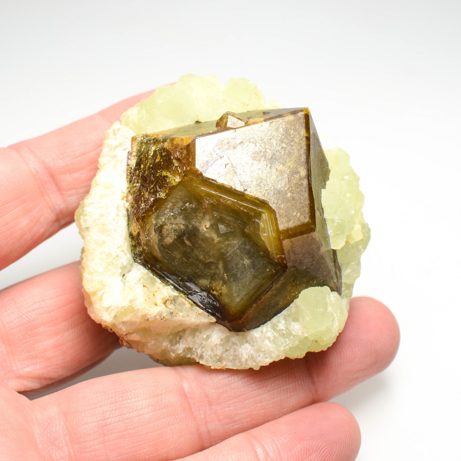 Prehnite sur grenat (var. andradite) - Région de Kayes, Mali