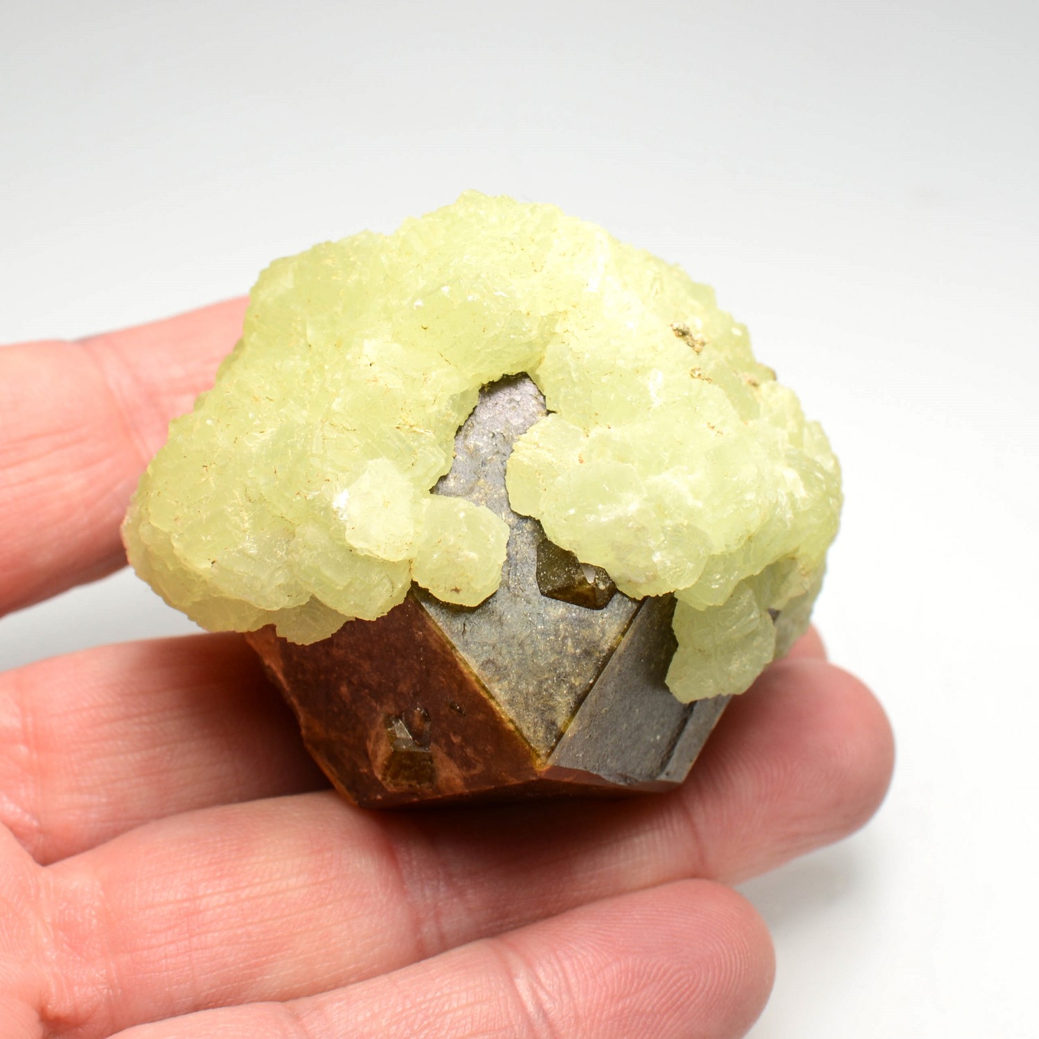 Prehnite sur grenat (var. andradite) - Région de Kayes, Mali