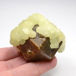 Prehnite sur grenat (var. andradite) - Région de Kayes, Mali