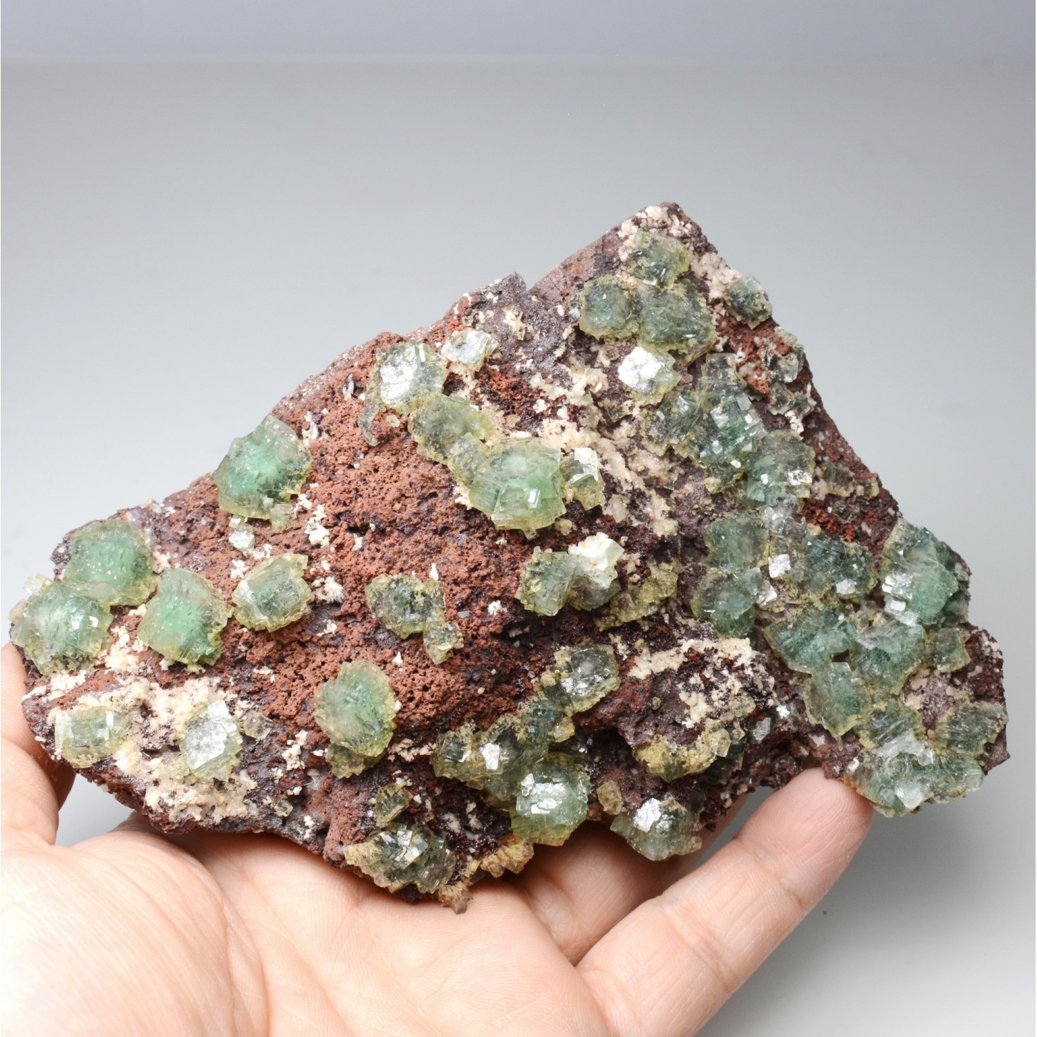 Apophyllite - District de Nashik, Maharashtra, Inde