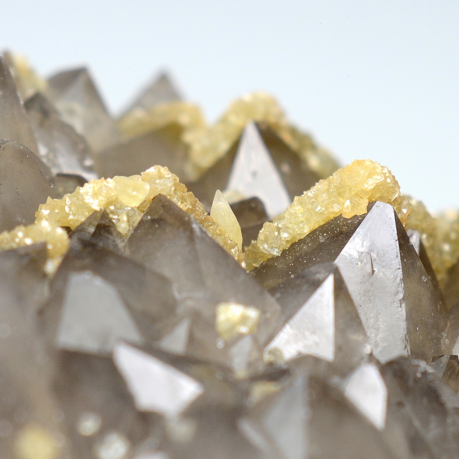 Calcite et sidérite sur quartz - Laguépie, Tarn-et-Garonne, France