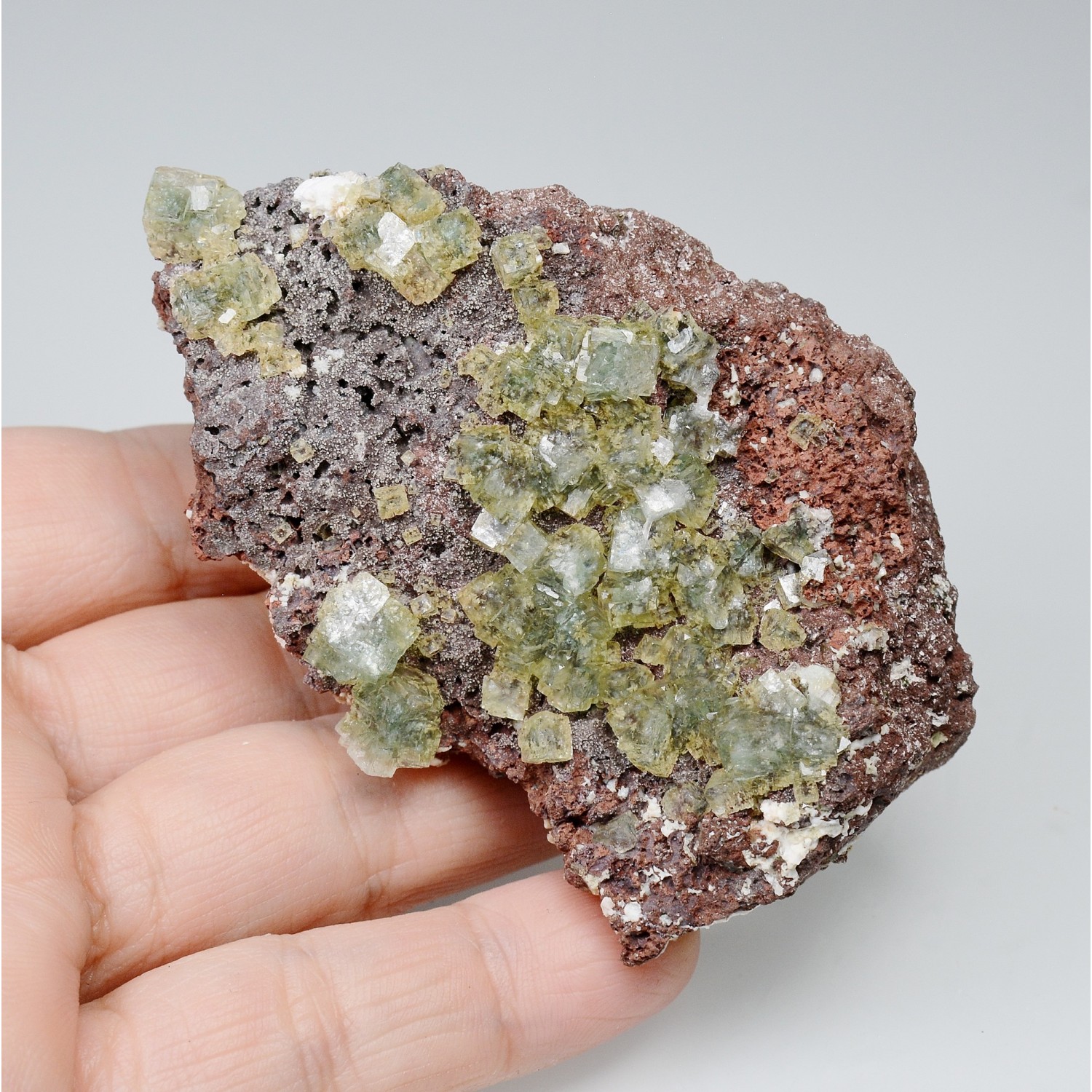 Apophyllite - District de Nashik, Maharashtra, Inde