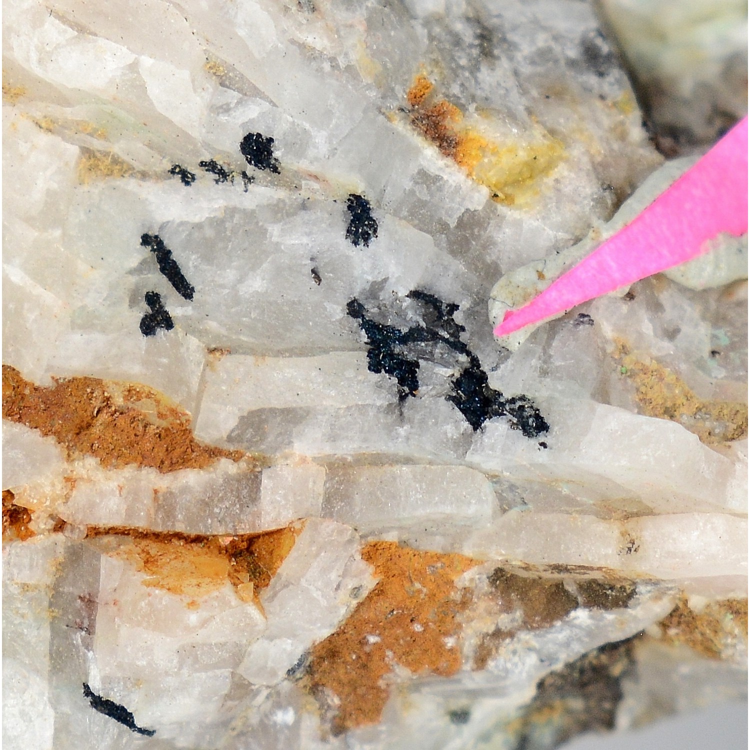 Tétraédrite bismuthifère dans calcite - Filon du bas Hérival, Mine Faymont, Le Val-d'Ajol, Vosges, France