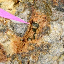 Parasymplésite et ankérite - Mine Glück Auf, Filon Saint-Guillaume, Sainte-Marie-aux-Mines, Haut-Rhin, France.