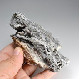 Löllingite - Neuenberg, Sainte-Marie-aux-Mines, Haut-Rhin, France