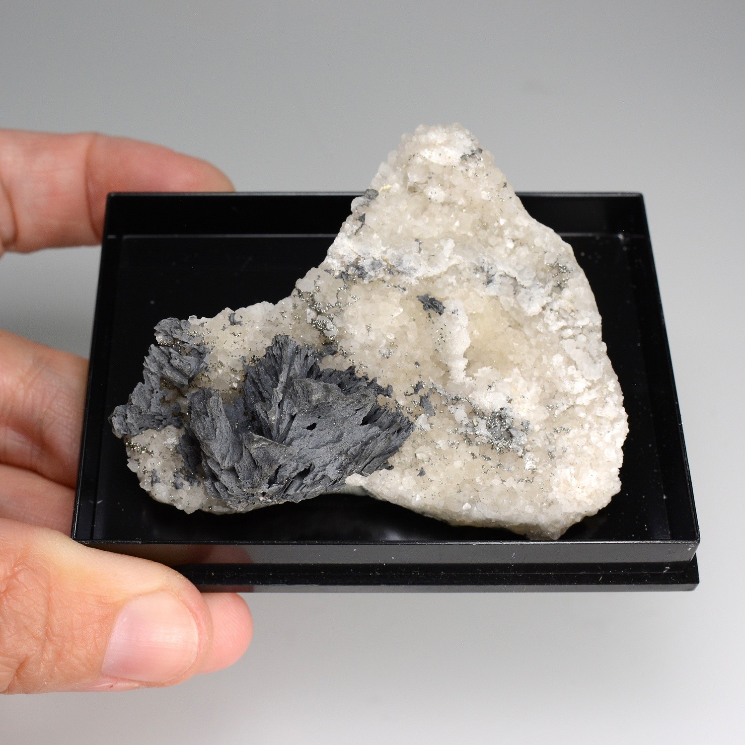 Arsenic natif bacillaire sur quartz - Filon Saint-Jacques, Neuenbergn Sainte-Marie-aux-Mines, Haut-Rhin, France