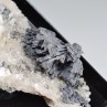 Arsenic natif bacillaire sur quartz - Filon Saint-Jacques, Neuenbergn Sainte-Marie-aux-Mines, Haut-Rhin, France