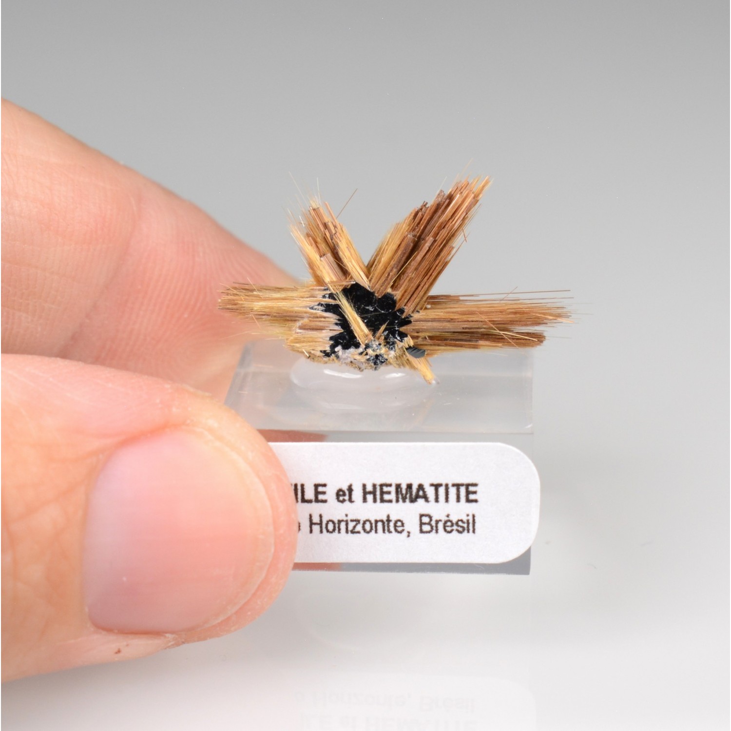 Rutile et hématite - Novo Horizonte, Bahia, Brésil