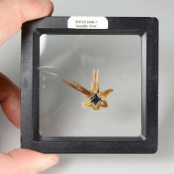 Rutile étoilé - Novo Horizonte, Bahia, Brésil