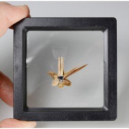 Rutile étoilé - Novo Horizonte, Bahia, Brésil