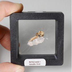 Rutile étoilé - Novo Horizonte, Bahia, Brésil