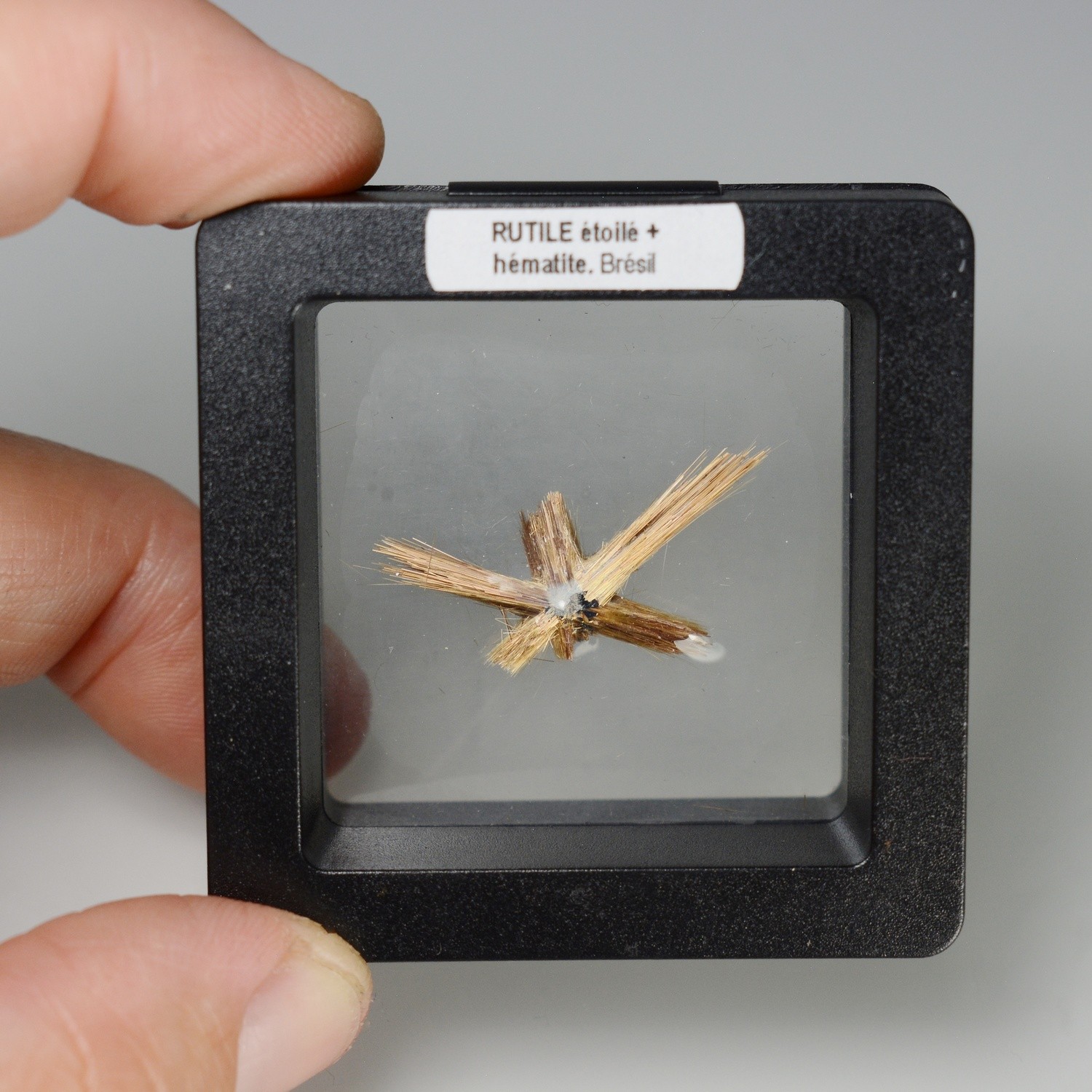 Star Rutile - Novo Horizonte, Bahia, Brazil