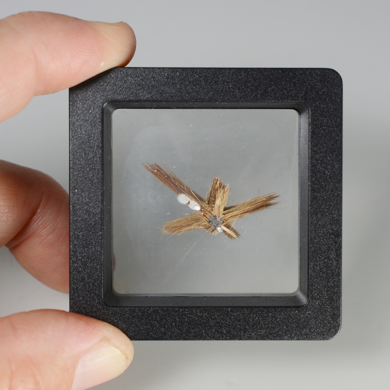 Star Rutile - Novo Horizonte, Bahia, Brazil