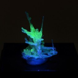 Hyalite opal on rutile - Novo Horizonte, Bahia, Brazil