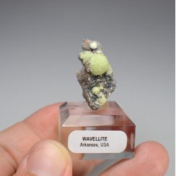 Wavellite - Mauldin, Arkansas, USA