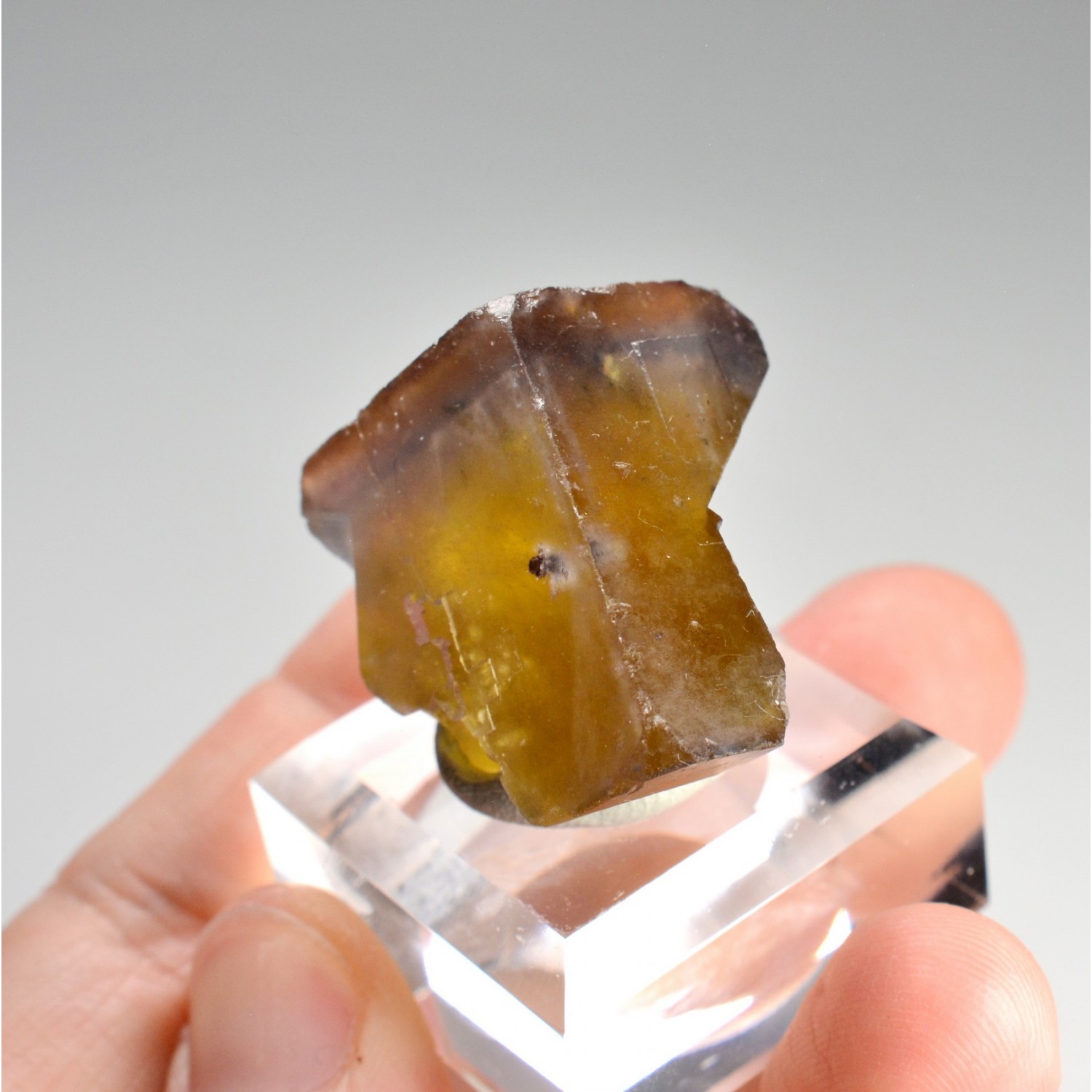 Fluorite - Yellow vein, Valzergues, Aveyron, France