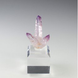 Améthyste - Piedra Parada, Veracruz, Mexique