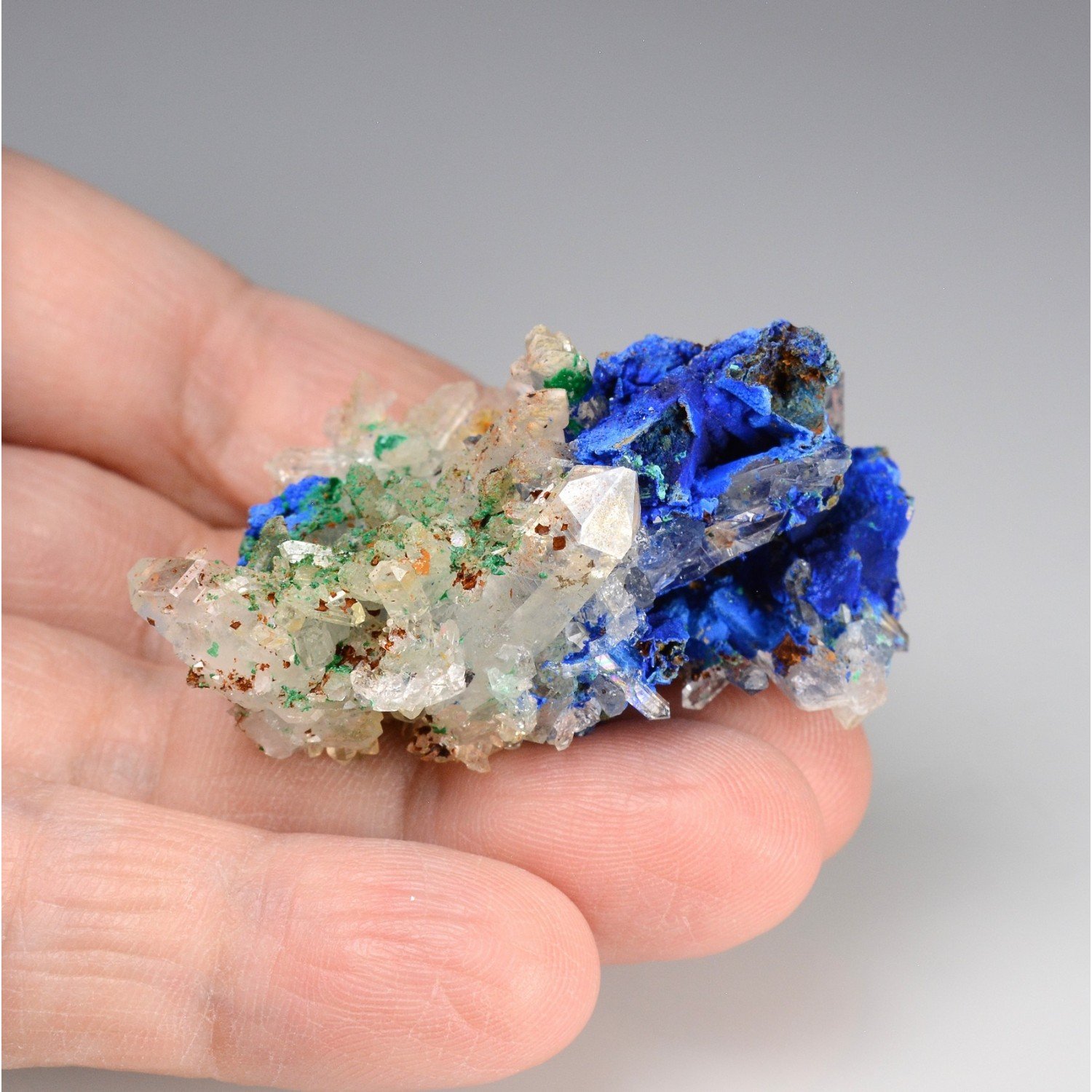 Azurite psm tétraèdrite & quartz- Mine à Giraud (La Gardette), Isère, France. Azurite psm tétraèdrite & quartz- Mine à Giraud (La Gardette), Isère, France.