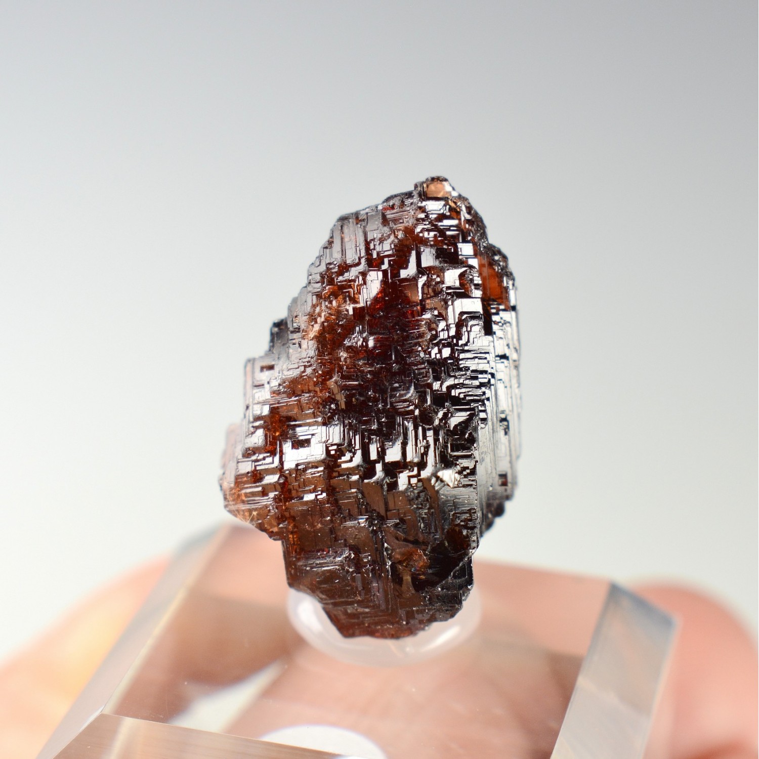 Spessartine garnet - Navegadora Mine, Minas Gerais, Brazil