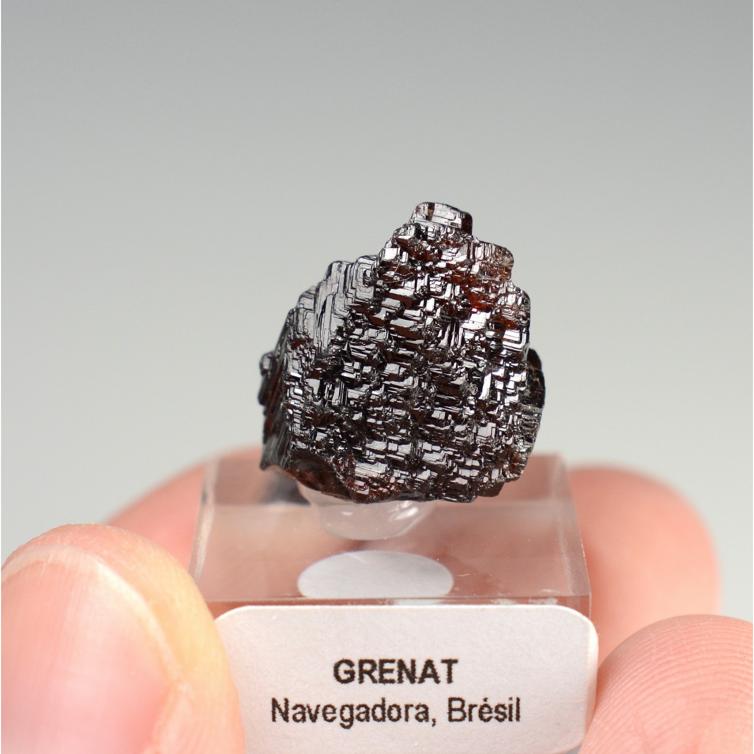 Grenat spessartine - Mine Navegadora, Minas Gerais, Brésil