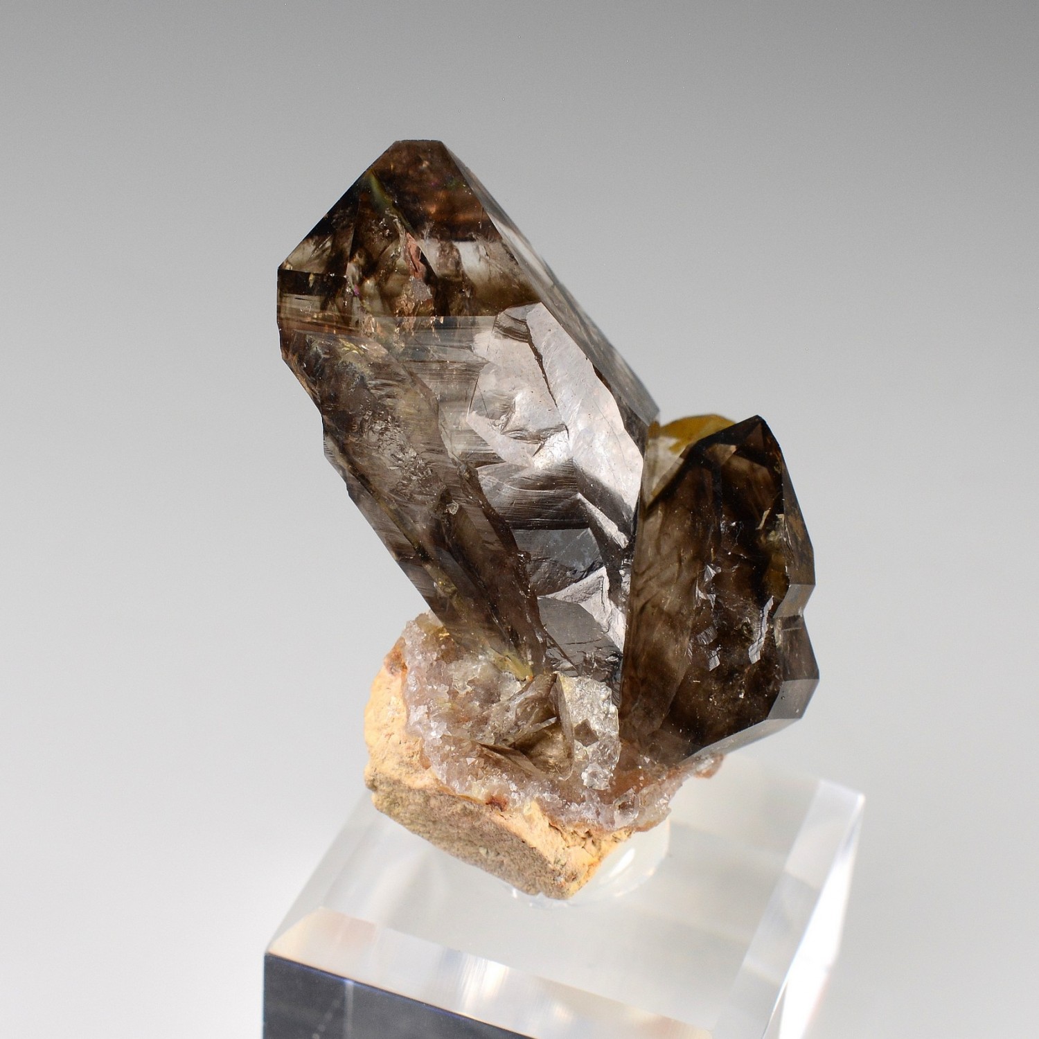 Smoky quartz - Mooralla, Victoria, Australia