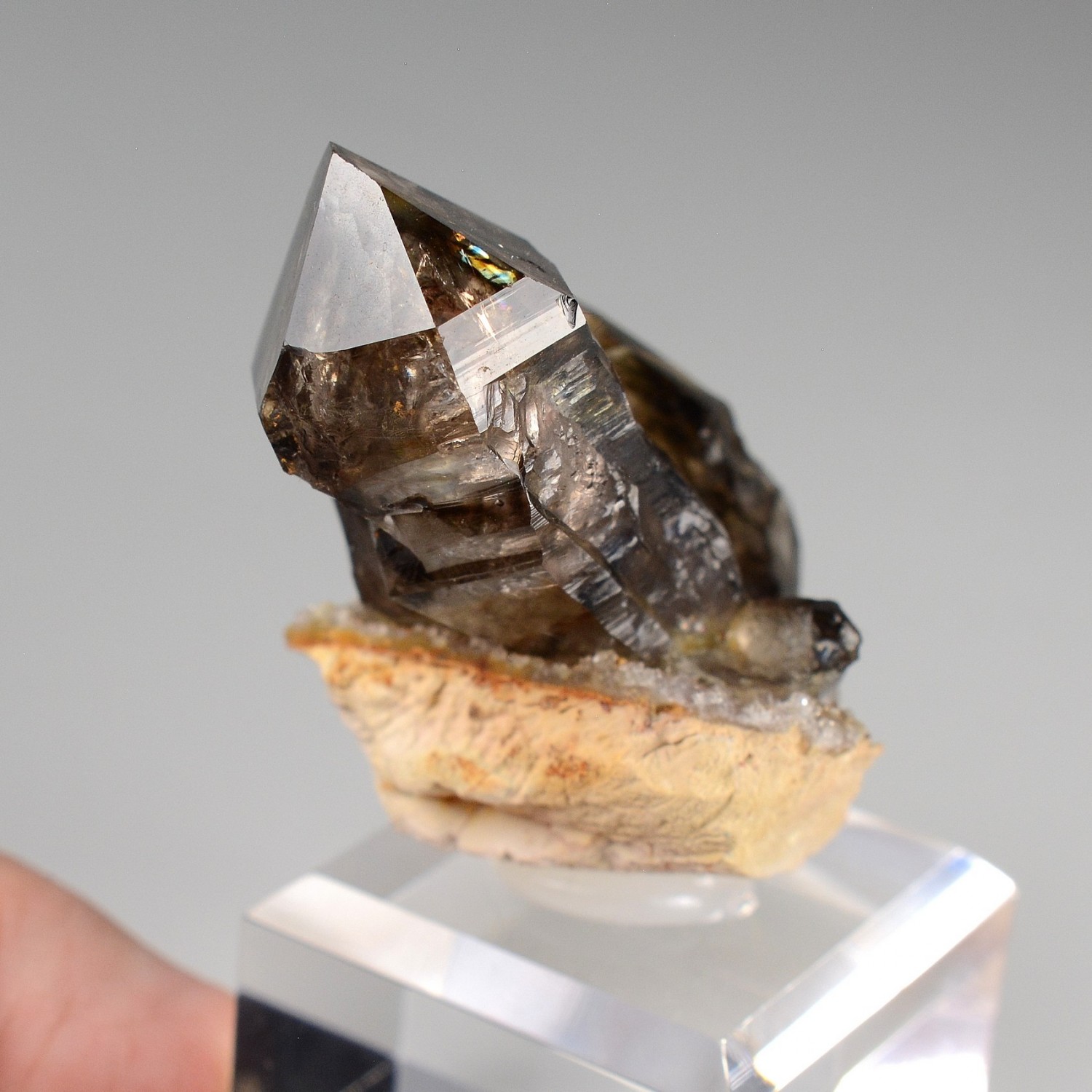 Smoky quartz - Mooralla, Victoria, Australia