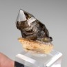 Smoky quartz - Mooralla, Victoria, Australia