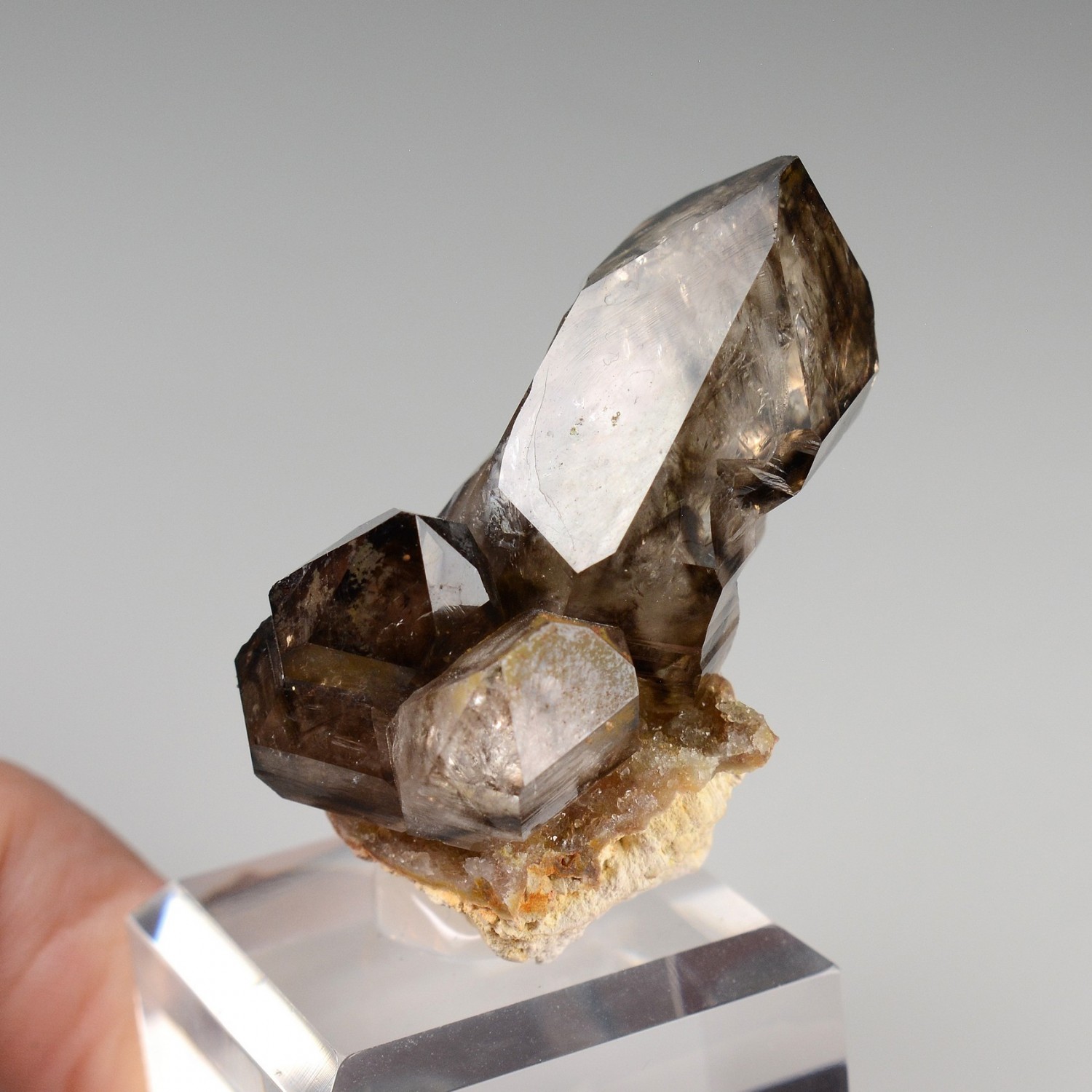 Quartz fumé - Mooralla, Etat du Victoria, Australie