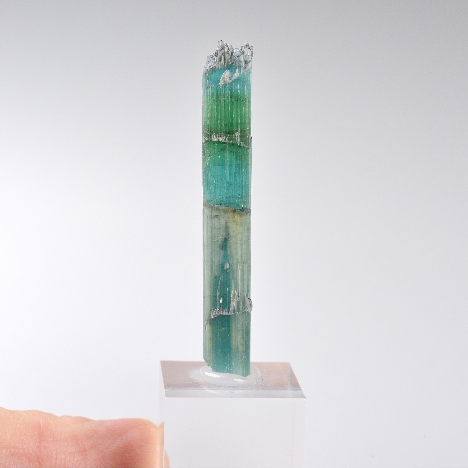 Tourmaline elbaite var.indicolite - Santa Rosa mine, Itambacuri, Minas Gerais, Brazil