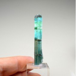 Tourmaline elbaite var.indicolite - Mine Santa Rosa, Itambacuri, Minas Gerais, Brésil