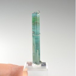 Tourmaline elbaite var.indicolite - Mine Santa Rosa, Itambacuri, Minas Gerais, Brésil