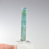 Tourmaline elbaite var.indicolite - Mine Santa Rosa, Itambacuri, Minas Gerais, Brésil