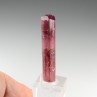 Tourmaline rubellite - Pegmatite de Sosedka, Transbaïkalie, District fédéral extrême-oriental, Russie